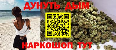 a pvp Братск