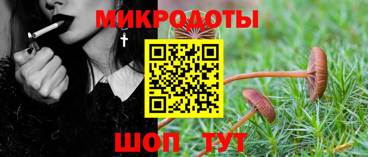 Белореченск  Галлюциногенные грибы прущие грибы  Галлюциногенные грибы ЛСД  Вход с VPN 